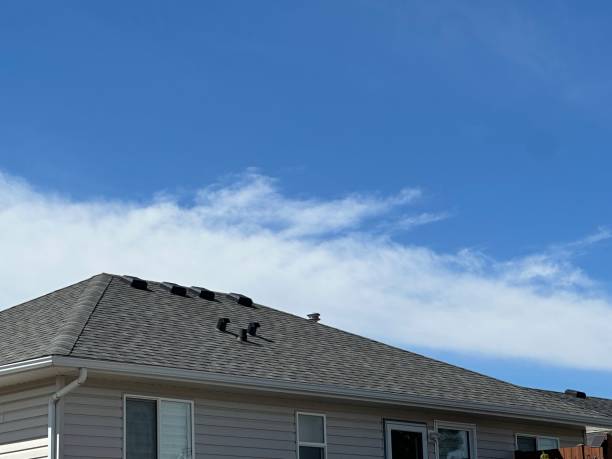 Fast & Reliable Emergency Roof Repairs in South Barrington, IL